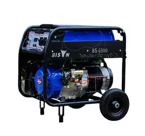 Професійний генератор бензиновий (електрогенератор) Bison BS6500 : 5.0/5.5 кВт бензогенератор для дому
