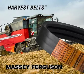 Приводні паси Massey Ferguson [Harvest Belts]