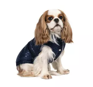 Жилет для животных Pet Fashion LUCKY L синий (4823082428793)