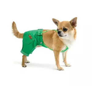 Брюки для животных Pet Fashion "АРНИ" XS2 зеленые (4823082410446)