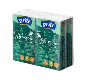 Салфетки косметические Grite Blossom mint 3 слоя 10 шт х 4 пачки (4770023349146)