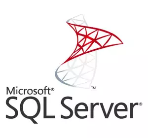 ПО для сервера Microsoft SQL Server 2022 Standard Core - 2 Core License Pack Charity, (DG7GMGF0M7XW_0002CHR)