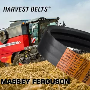 Приводні паси Massey Ferguson [Harvest Belts]